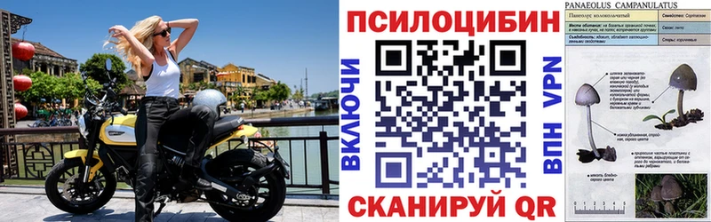 Купить где  Гаврилов Посад  Псилоцибиновые грибы мицелий 